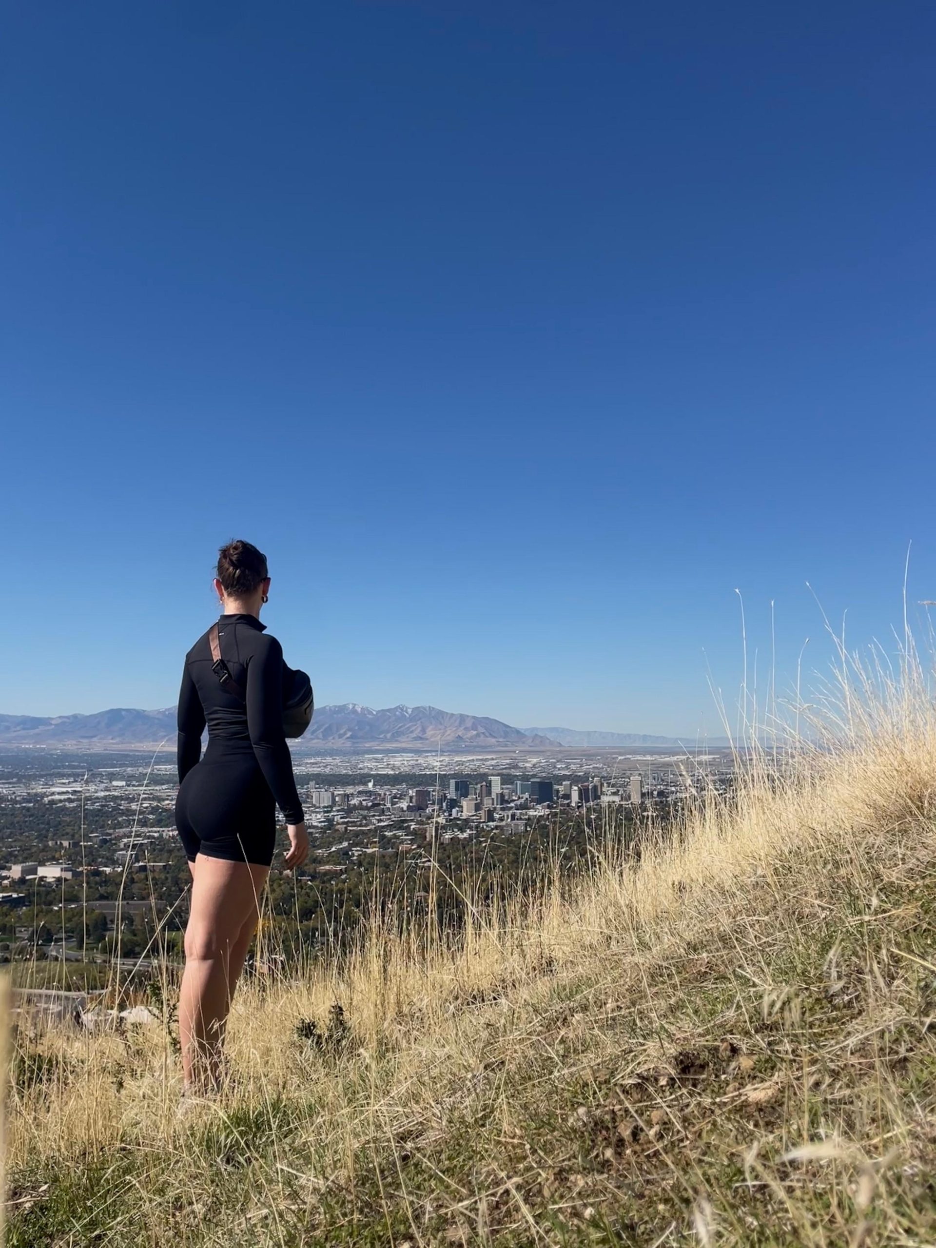 Beyond the Noise: In Search of Purpose